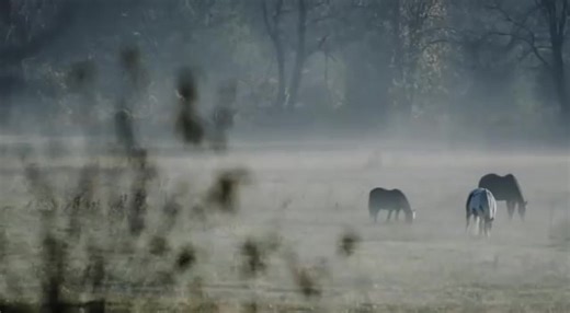 Across the Blue Ridge Mountains. | Rising Appalachia Music