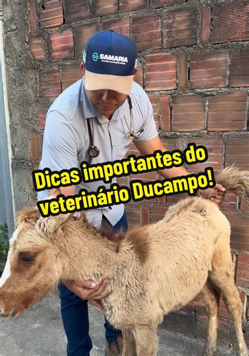 Dicas importantes do veterinário Ducampo! #tiktok #cavalo #veterinarioducampo #juniorquerosene #veterinario
