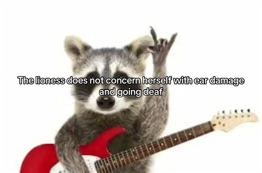 Ear damage? What’s that? #music #thelioness #ayeshaerotcia #fyp #fypp