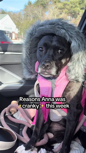 Anna's New Year's Resolution for a Happier Year