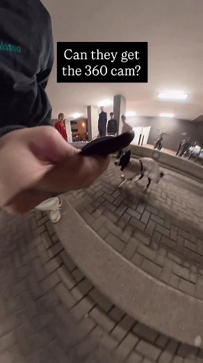 The disrespect when he marked the tree 😬 @dji_de . . #barkour #bordercollie #osmo360 | Parkourcollie Ninja