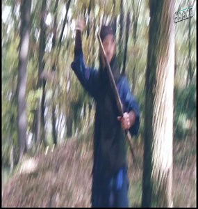 4.7K views · 103 reactions | Best Movies HD | Amazing TV | Facebook