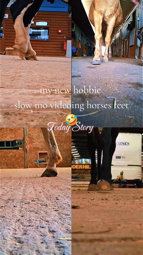 🌿 Every Horse Is an Individual — Especially When It Comes to Their Feet 🌿 Over the past few months, I’ve been studying my own horses’ feet and movement more closely — and it’s been such an eye-opener. What I’ve noticed is how much their hoof balance influences the way they move, how they use their bodies, and even where they hold tension. A horse that’s slightly out of balance in the feet often shows it elsewhere — maybe through stiffness, uneven muscle development, or tension through the shou