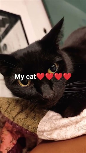 my first video sorry if it's shaky