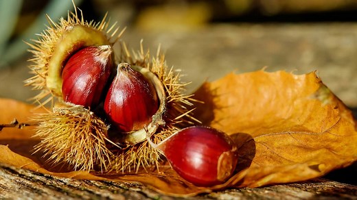Pourquoi le premier jour de l'automne tombe-t-il le 22 septembre cette année?