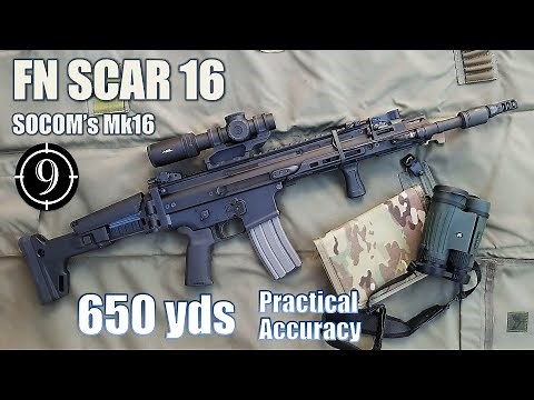 FN SCAR 16 to 500yds: Practical Accuracy (Primary Arms PLX-C 1-8x24mm | SOCOM Mk16)