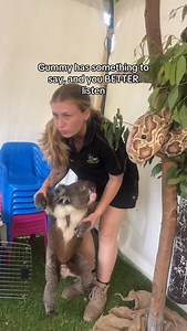 Do you know what sound a koala makes? It’s called a bellow! | West Oz Wildlife