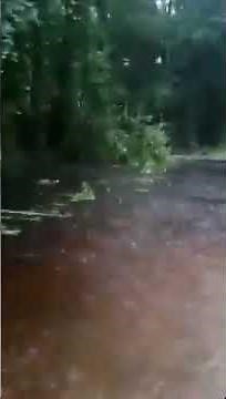 RAW VIDEO: Hurricane Irma flooding in Lake City, Florida