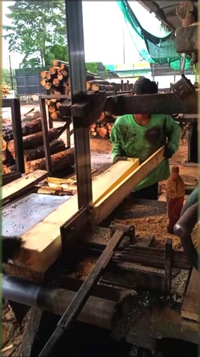 Rubberwood Lumber Production | From Raw Logs to Finished Boards