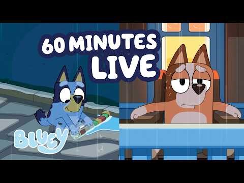 🔴 LIVE: Will Bluey be Able to Build a Dam? 🌧️ 💙 | 60 MINUTES of Adventurous Clips! 💫 | Bluey