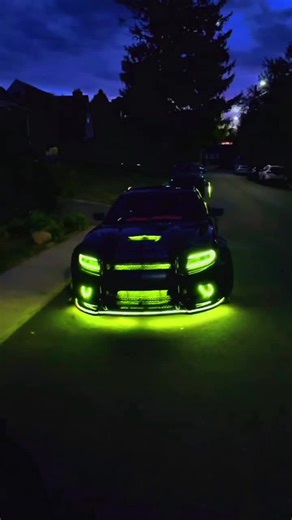 Preston Thrash (@prestonthrash)’s videos with som original - Douglas.x7 🇧🇷