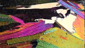 muscovite ("fuchsite") in thin section FKM-312 XP