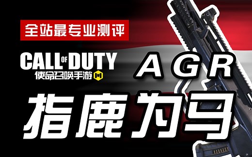 【CODM】枪械测评：AGR——指鹿为马