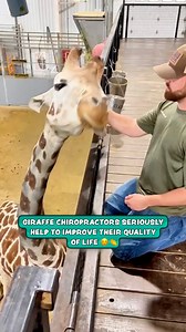 Bet that feels so good for the giraffe 🦒 | Furry Tails