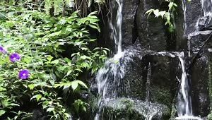 Stock Footage Waterfall On The Rocks In Nature Live Wallpaper