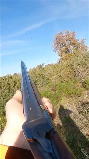 Woodcock Hunting filmed with GoPro | 👆⬆Full Video⬆👆