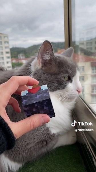 Enchanting Minecraft Diamond Sword Painting