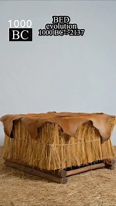 Bed evolution from 1000 BC to 2137 ❤️ @evotimelab #evolution #timelapse #bed #usa #bed #bedroom #historyusa #history | Evolution Time