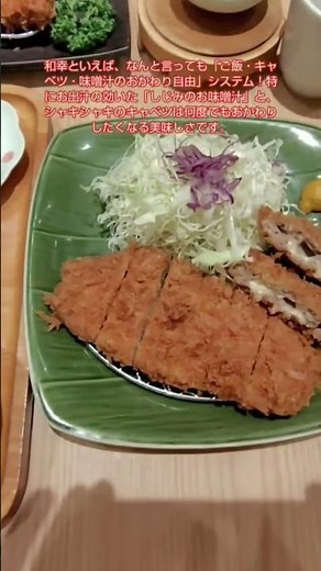 とんかつ和幸流山おおたかの森sc