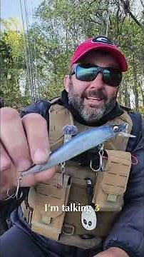 Catch HUGE Bass: 5 Cold Water Baits You NEED To Try! #shorts