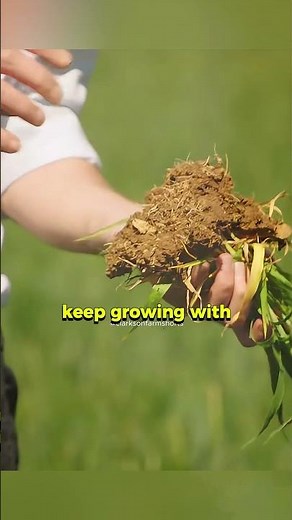 Charlies Botany Lesson #clarksonsfarm #learn #plants #farming