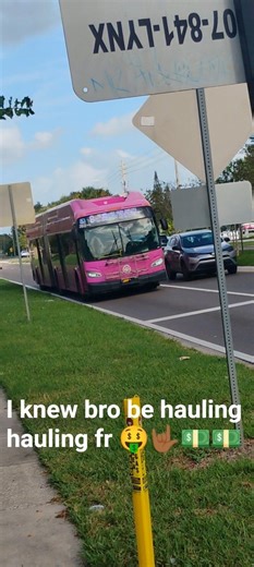 2019 New Flyer XN60 on route 8 Bus #282