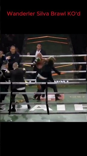 “Wanderlei Silva Knocked Out COLD After Headbutt 🤯 | All-Out Brawl” #shorts #brawl