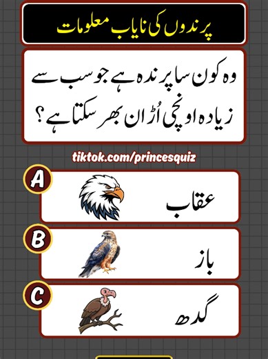 Bird Quiz: Test Your General Knowledge About Birds