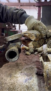 1.1M views · 436 reactions | RAW clean up of a double sole. Grinder Only. No knife necessary | Steve Wunderlich Hoof Care | Facebook