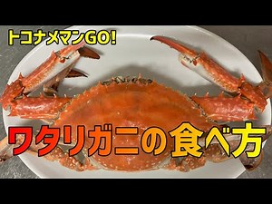 極上の味わい！ワタリガニの食べ方 完全ガイド！