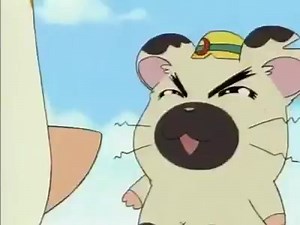 1.2K views · 76 reactions | Hamtaro vem aí..   Hoje completam-se 25 anos da estreia de 'Hamtaro' na TV japonesa. Histórias simples e divertidas situadas em um clube de hamsters que conquistou o público! No Brasil, o anime foi exibido no Cartoon Network Brasil e TV Globo, além de lançamento em DVD/VHS. | ANMTV | Facebook