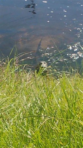 3 comments | Sean Johnson on Reels | Facebook