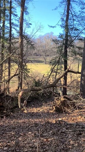 The pond has forever changed 🤯