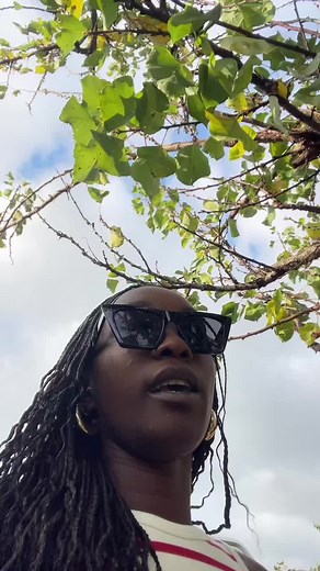 Timber Song Cover: A Fun Musical Performance