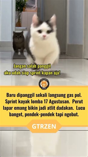 Dipanggil buat makan dan si kecil ini lari secepat Usain Bolt! 💨