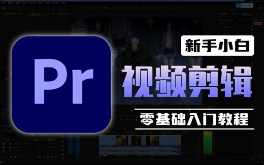 【全368集】强推！比付费还强10倍的PR入门全套网课，学完思维猛涨！！别再走弯路了，从0基础小白变成剪辑大神这套自学教程就足够了！PR教程快速上手