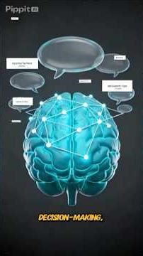 The Frontal Lobe: The Brain's Command Center for Decision-Making and Personality