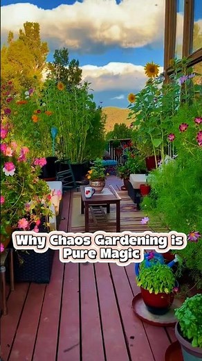 Chaos Gardening: The Wild & Beautiful Way to Grow Plants #chaosgarden #chaosgardening #wildflowers