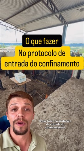 Rafael Pessin | Nutrição bovina on Instagram: "O que fazer no protocolo de entrada do confinamento? Nesse confinamento é feito a identificação do animal com brinco e chip. O chip facilita o trabalho de processamento do animal, agilizando a leitura das informações. Pesagem individual de cada animal Aplicação de 3 vacinas: raiva, clostridioses (carbúnculo, tétano, enterotoximia) e pneumonia. Fornecimento de 2 vermífugos: albendazol para controle de verminoses gastro-intestinais e pulmonares e nitr