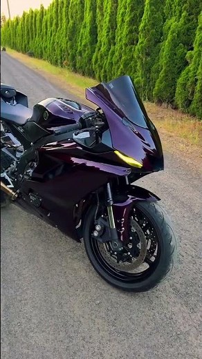 Deep Purple Yamaha Sportbike Golden Hour Vibes 🔥🌲