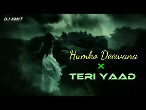 HUMKO DEEWANA x TERI YAAD / Himesh Reshammiya - REMIX -( AMIT OFFICIAL REMIX)...