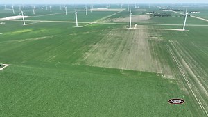 Check out this 160± Acres in Rock County, Minnesota! Whether you are a farmer looking to expand your farming operation or an investor seeking a valuable asset, this land offers immense potential. Bid your price by Thursday, August 17. https://steffesway.com/RockCountyMN160 | Steffes Group, Inc.