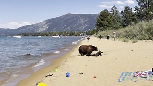 To license this content please click here: https://www.jukinmedia.com/licensing/view/1211557?utm_source=RMsocialpost&utm_medium=RMsocialpost | Jukin Copyright Management | Facebook