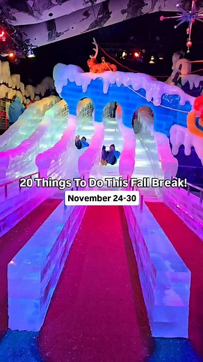 4K views · 270 reactions | Fall break is finally here, so I rounded...