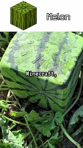 Minecraft real life meme #shorts