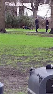 853K views · 12K reactions | Press up machine! | SPORTbible | Facebook