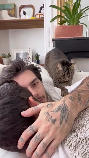 tracysdog_boys (@tracysdog_boys)’s videos with original sound - tracysdog_boys