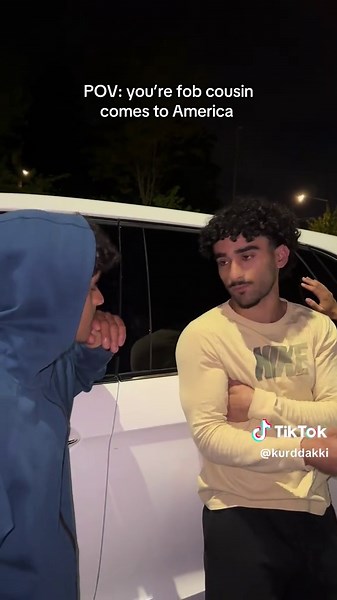 Cousin Visits America: A Goofy POV