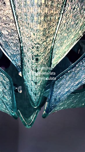 Four years of research. Countless days of iteration. From the catacombs to the outer desolation, these organisms kept evolving—sketched, rewritten, prototyped, and pushed until they could stand on their own. Held together by gravity alone: no glue, no fasteners—only modules that meet, press, and lock through geometry. Light becomes the frame. Structure becomes anatomy. #lightingsculpture #modularsculpture #computationaldesign #parametricdesign #contemporarysculpture