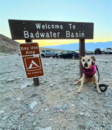 Exploring Badwater Basin in Death Valley National Park